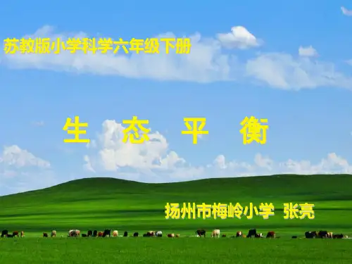 生态平衡