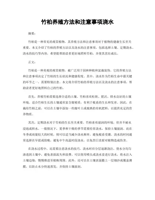 竹柏养殖方法和注意事项浇水
