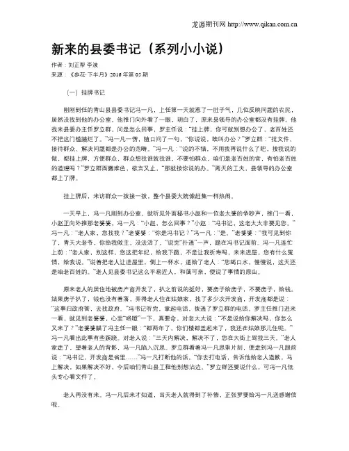 新来的县委书记(系列小小说)