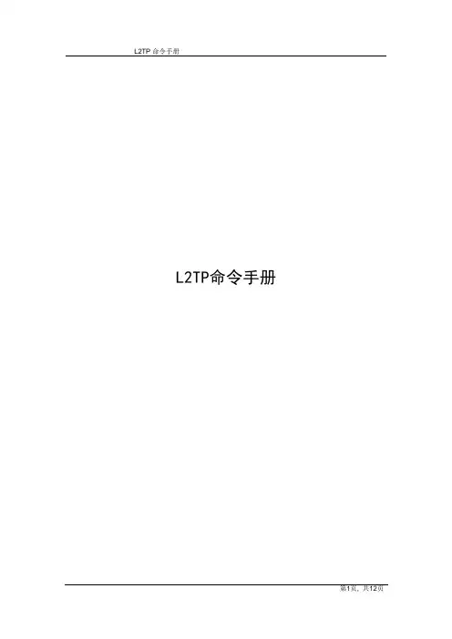 L2TP命令手册