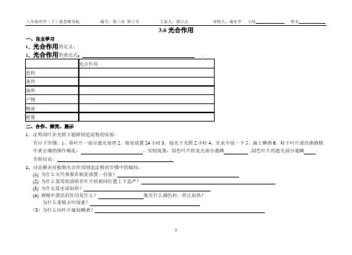 第三章第六节光合作用