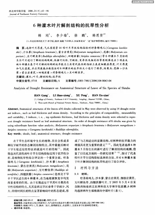 6种灌木叶片解剖结构的抗旱性分析