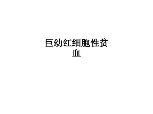 巨幼红细胞性贫血ppt课件