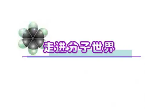 走进分子世界下学期--江苏教育版