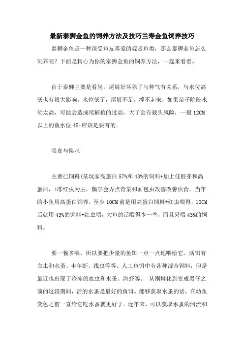 最新泰狮金鱼的饲养方法及技巧兰寿金鱼饲养技巧