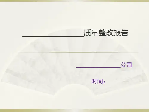 整改报告模板