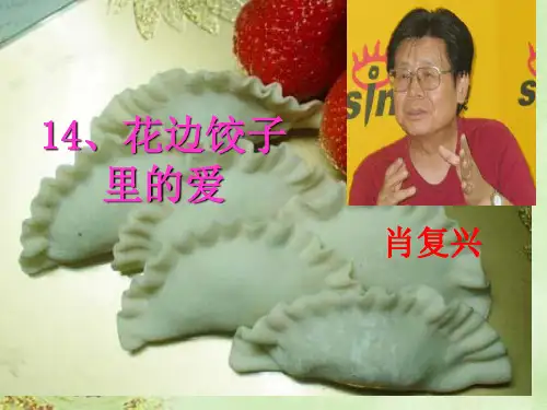小学六年级上册语文:14.花边饺子里的爱
