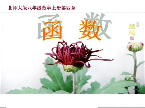 北师大版八年级数学上册第四章第1节《函数》课件(共20张PPT)