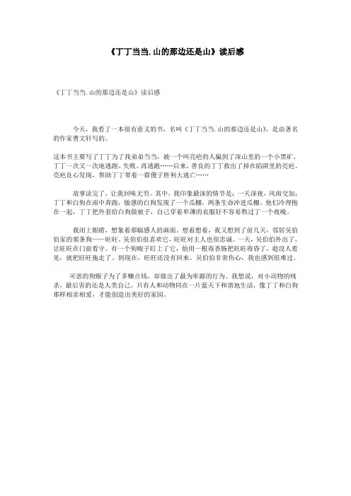 《丁丁当当.山的那边还是山》读后感