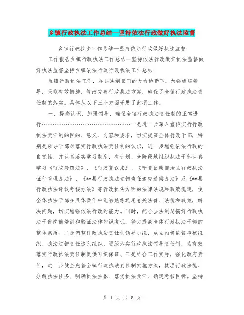 乡镇行政执法工作总结—坚持依法行政做好执法监督