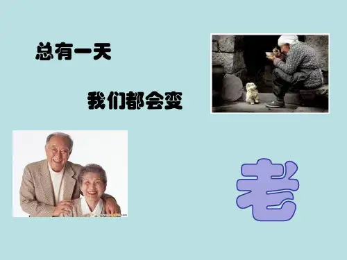 7.我是尊老敬老好少年