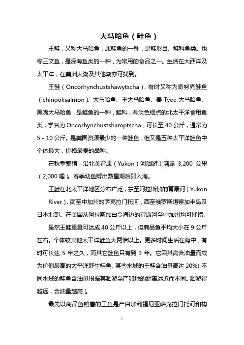 大马哈鱼(鲑鱼)
