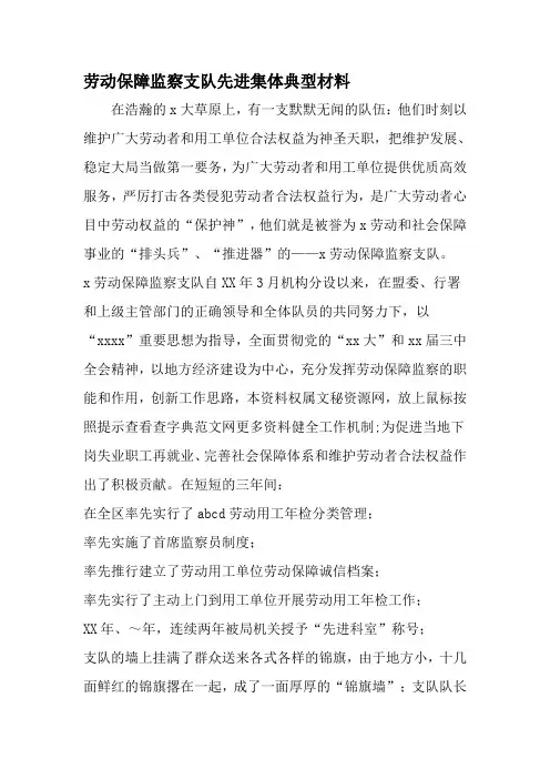 劳动保障监察支队先进集体典型材料-最新精选范文