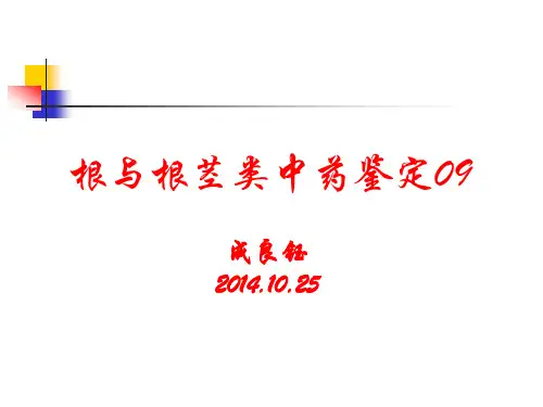 根及根茎类中药09