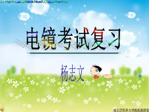 组胚——电镜考试复习