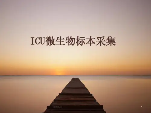 ICU微生物标本采集PPT课件