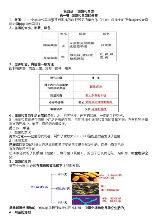 人教版生物八年级上册第四章《细菌和真菌》知识点 2