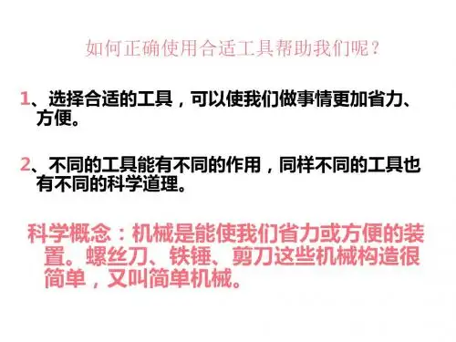 教科版科学六年级上册总复习