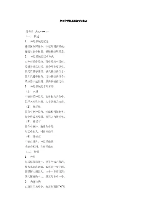 中枢神经系统解剖口诀