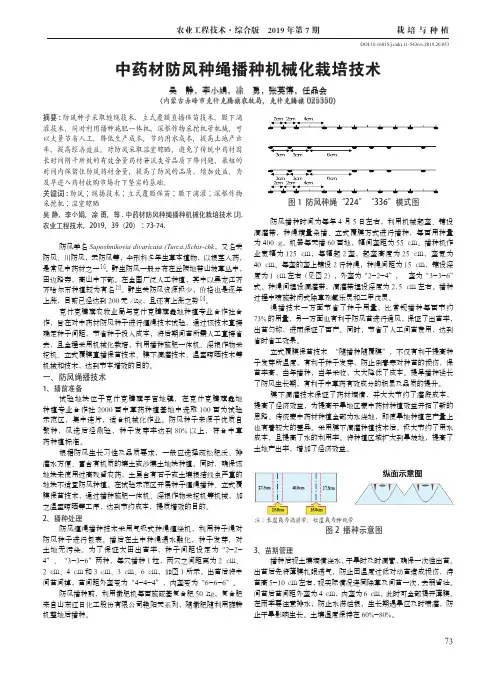 中药材防风种绳播种机械化栽培技术