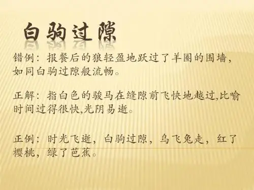 成语白驹过隙