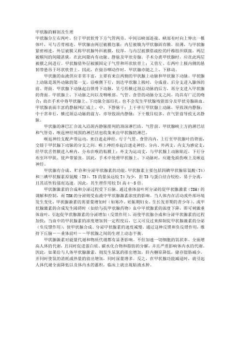甲状腺的解剖及生理 