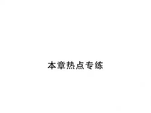 人教版八年级数学下册学练优作业课件：第十八章热点专练