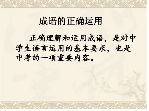 成语的正确运用