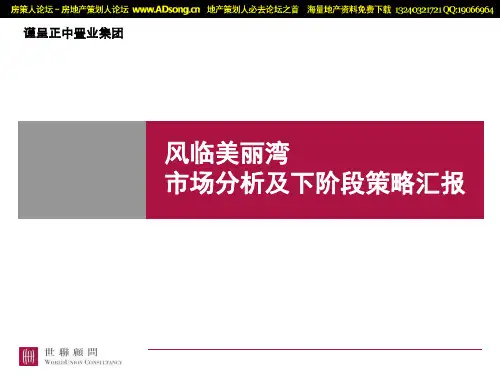 世联顾问-2008年东莞万江风临美丽湾市场分析及下阶段策略汇报-41PPT