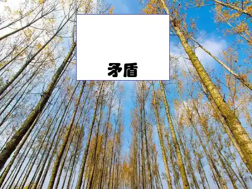 最新(部编版)推荐白杨礼赞实用PPT1