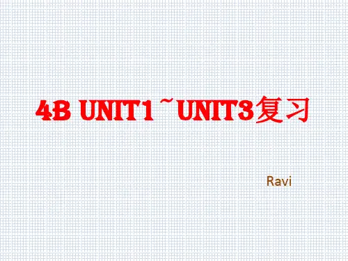 4B Unit1~unit3复习
