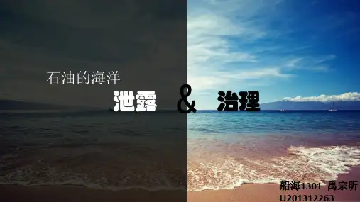 海洋的石油泄漏与处理