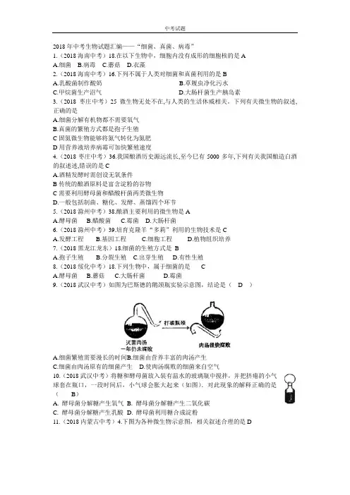 中考生物试题汇编：细菌、真菌、病毒(含答案)