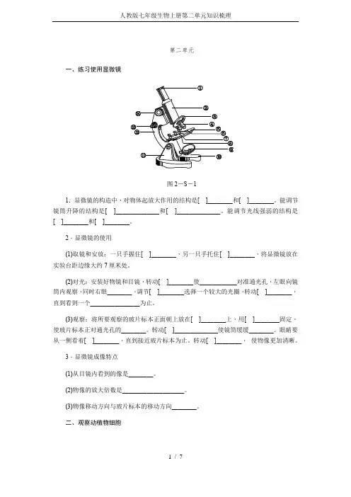 人教版七年级生物上册第二单元知识梳理