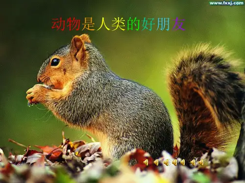 动物是人类的好朋友