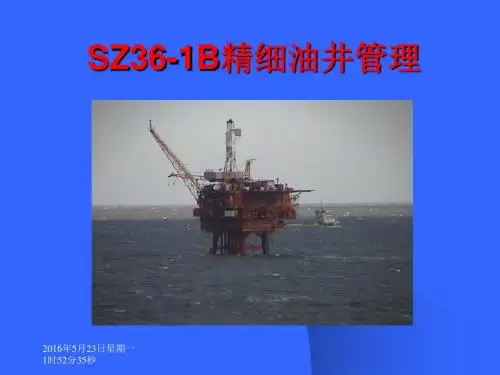SZ36-1B精细油井管理