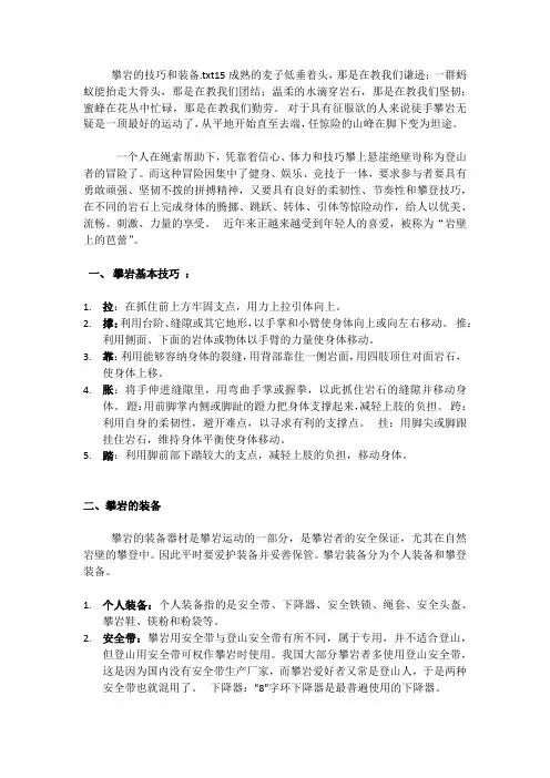 攀岩的技巧和装备