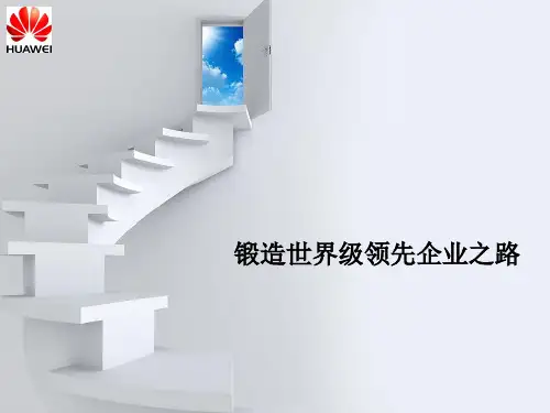 华为数通产品培训资料整理