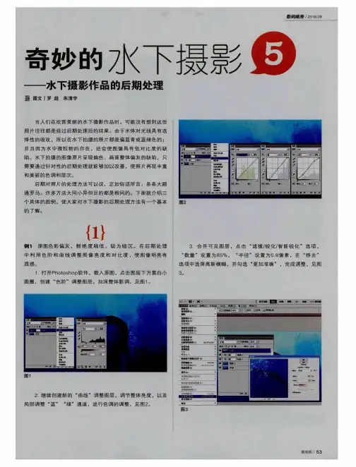 奇妙的水下摄影——水下摄影作品的后期处理