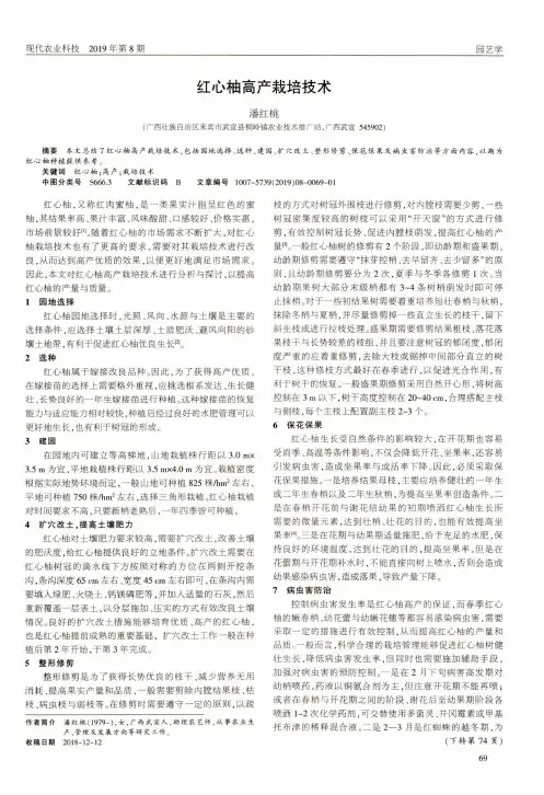 红心柚高产栽培技术