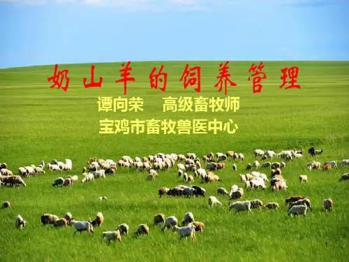 奶山羊PPT课件