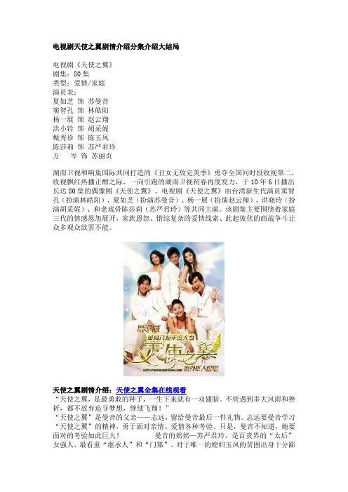 电视剧《天使之翼》剧情介绍分集介绍大结局