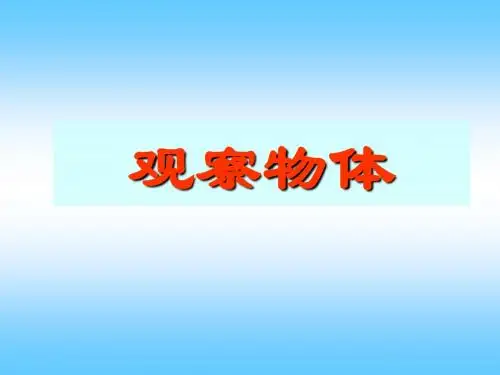 二年级数学观察物体1