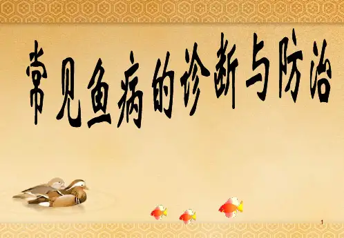 常见鱼病的诊断与防治ppt课件