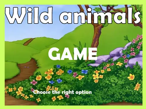 wild-animals