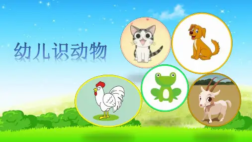 认识小动物