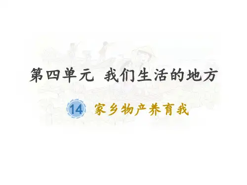 (部编版)小学道德与法治《家乡物产养育我》教学课件1