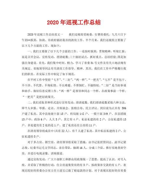 2020年巡视工作总结