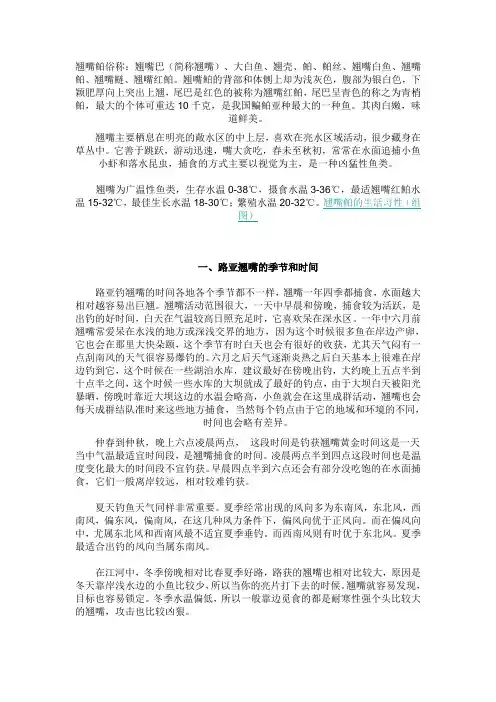 路亚钓翘嘴的方法技巧 2