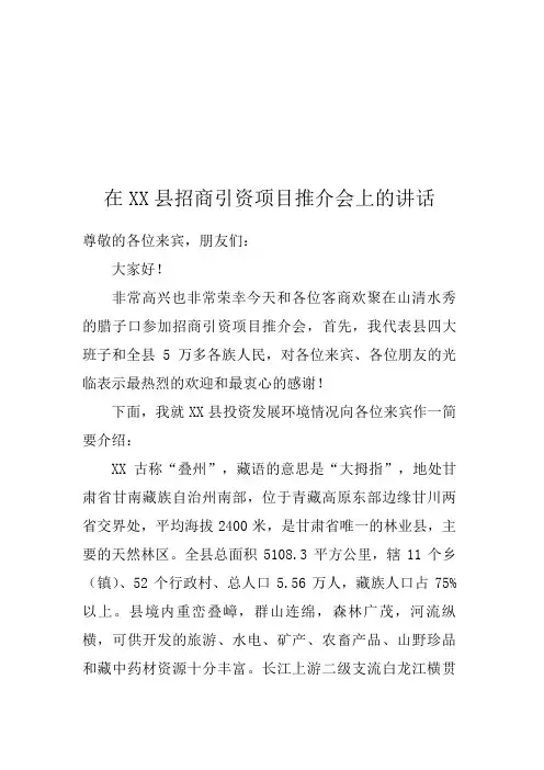 招商引资项目推介会